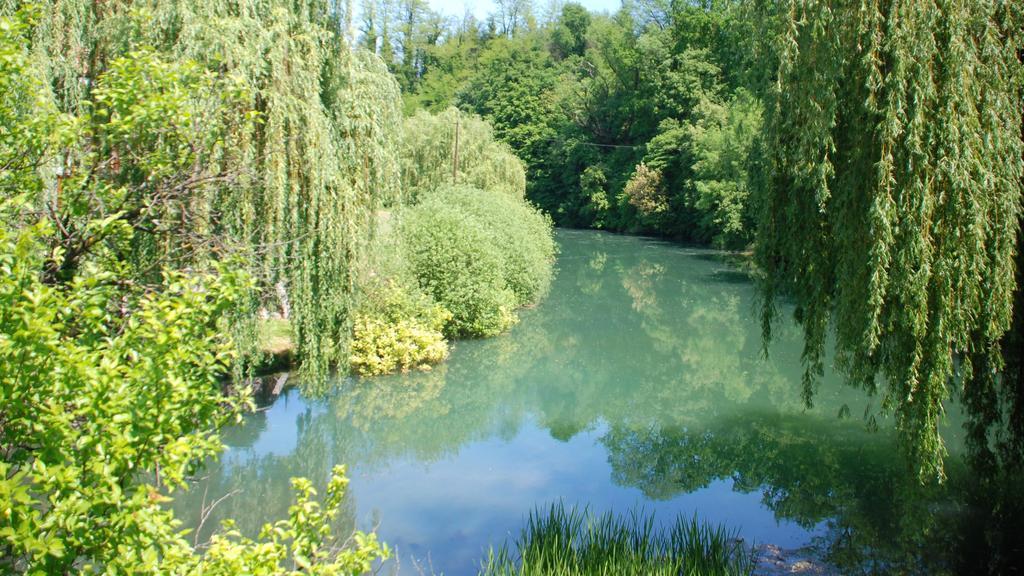 Lahinja & Kolpa River Apartments Метлика Екстериор снимка