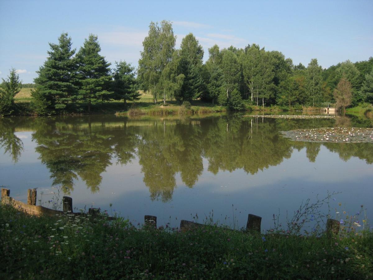 Lahinja & Kolpa River Apartments Метлика Екстериор снимка